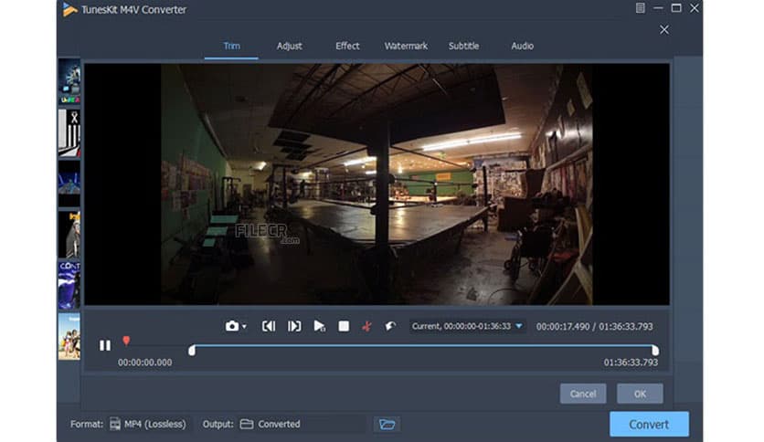 Viwizard M4V Converter 5.3.0.31