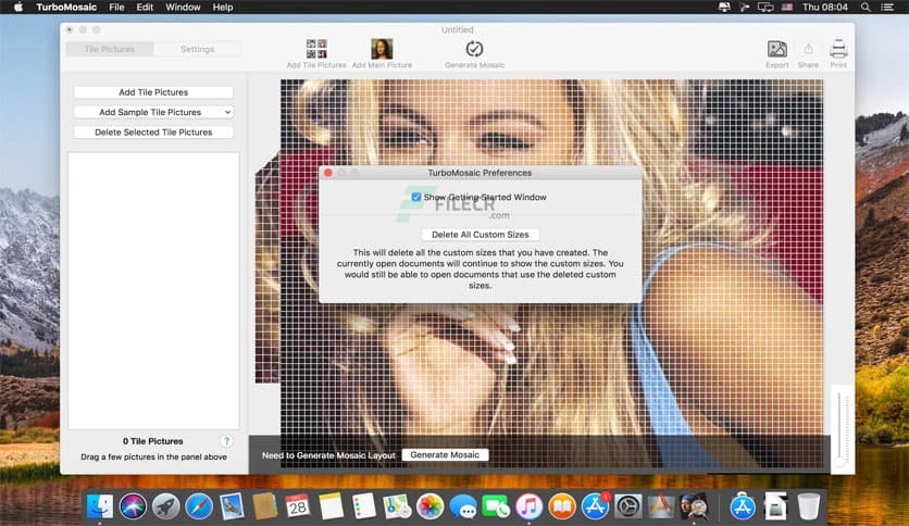 TurboMosaic Pro Plus 3.6.10