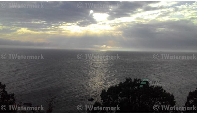 TWatermark 2.5.3.265