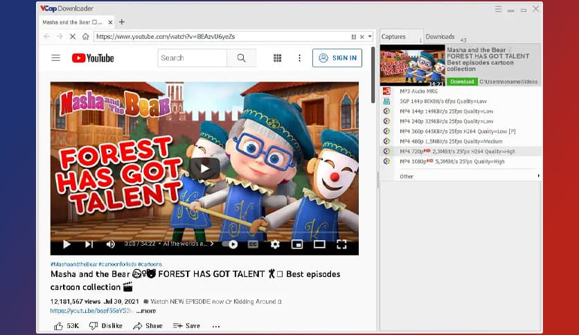 VCap Downloader Pro 0.1.44.6930