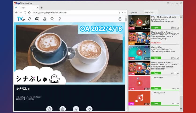 VCap Downloader Pro 0.1.44.6930