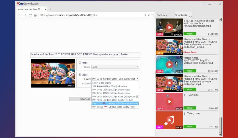 VCap Downloader Pro 0.1.44.6930