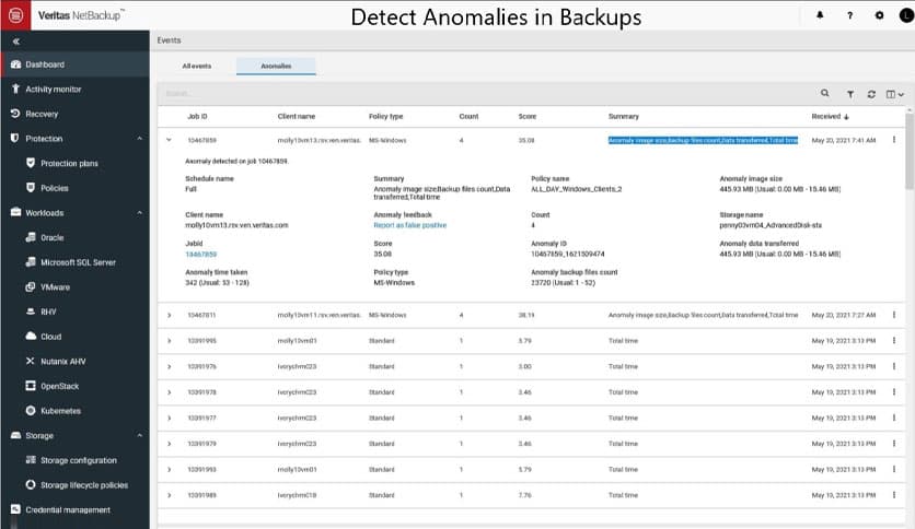Veritas Netbackup 10.2