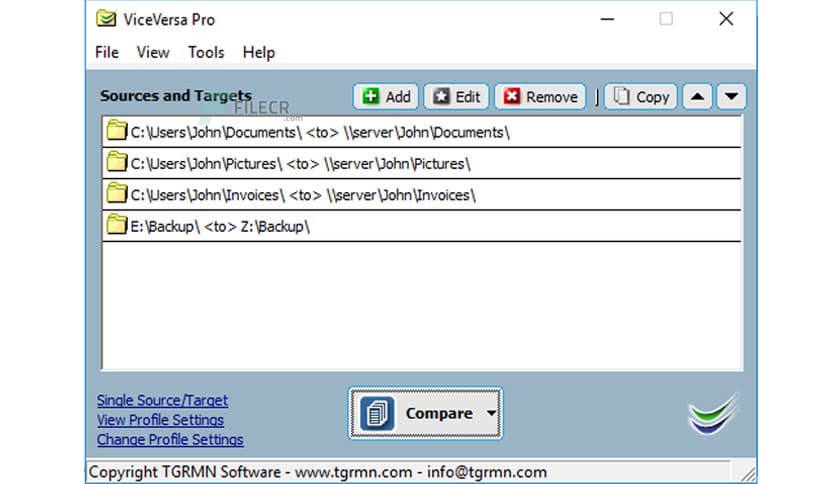 ViceVersa Pro 6 Build 6015