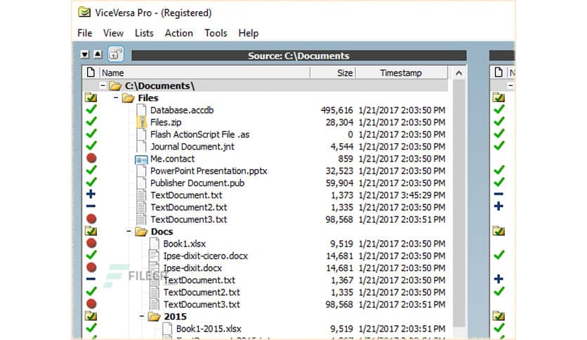 ViceVersa Pro 6 Build 6015