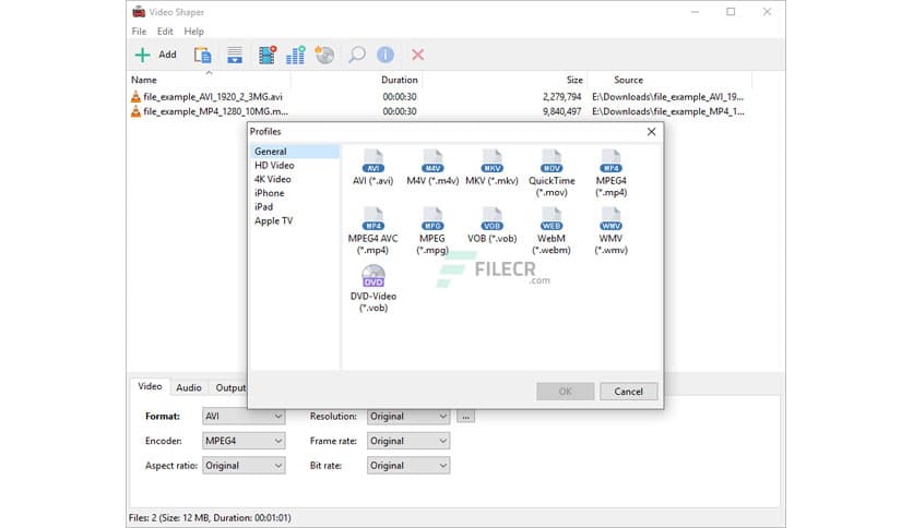 Video Shaper Professional 3.7
