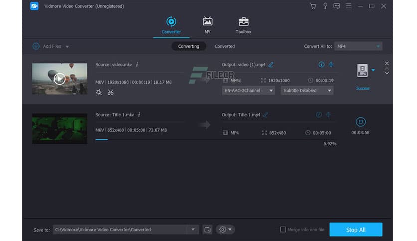 Vidmore DVD Monster 1.0.30