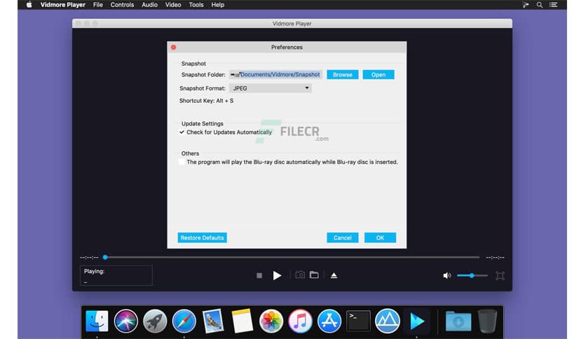 Vidmore Player 1.0.68
