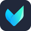 Vidmore Video Converter 1.3.60