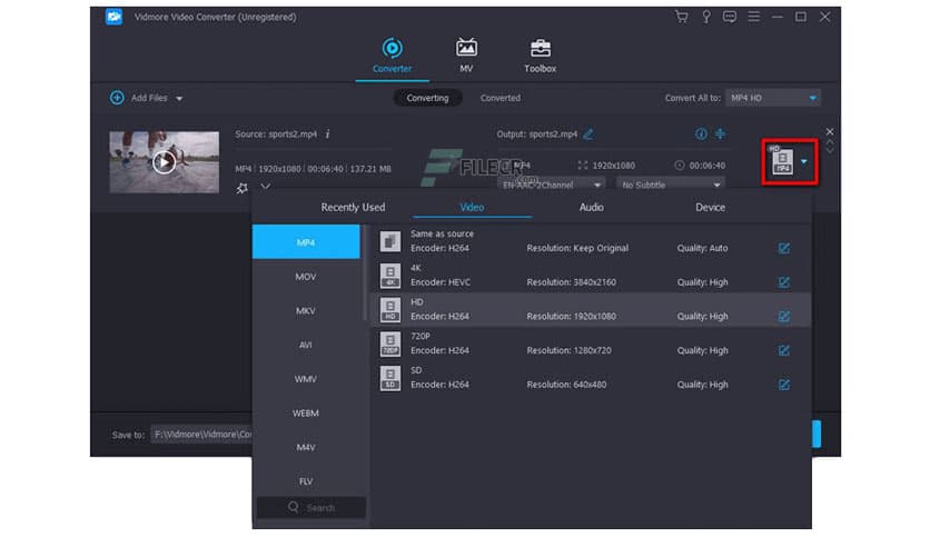 Vidmore Video Converter 1.3.60