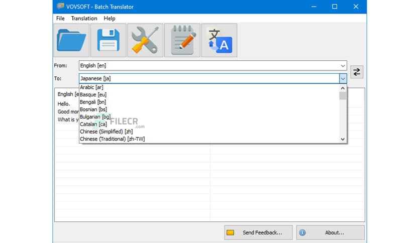 VovSoft Batch Translator 4.8