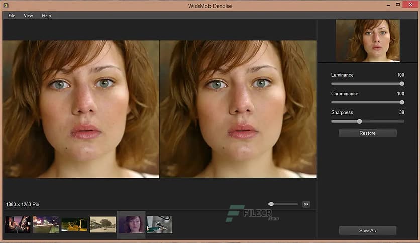 WidsMob Denoise 2021 v1.2.0.88