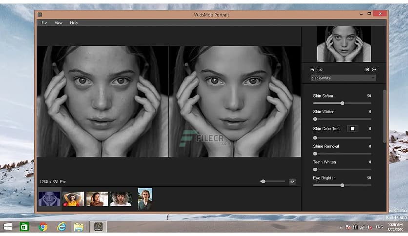 WidsMob Portrait 2.2.0.210
