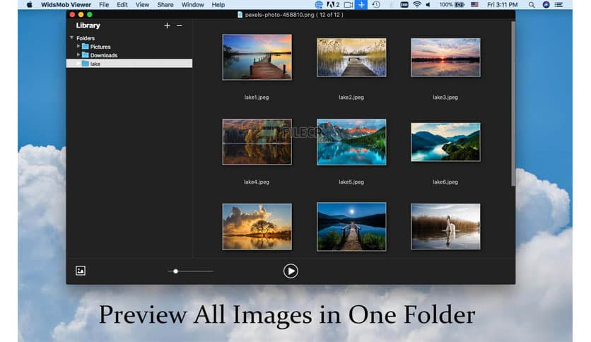 WidsMob Viewer Pro 2.20