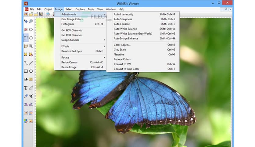 WildBit Viewer 6.19 Commercial