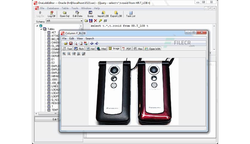 Withdata OraLobEditor 4.6 Release 1 Build 200630