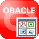 Withdata OraLobEditor 4.6 Release 1 Build 200630