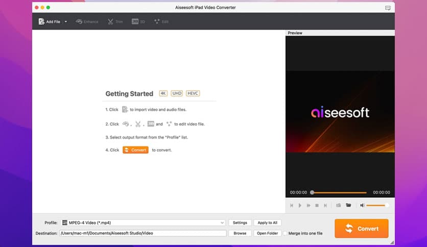 Aiseesoft iPad Video Converter 8.1.26