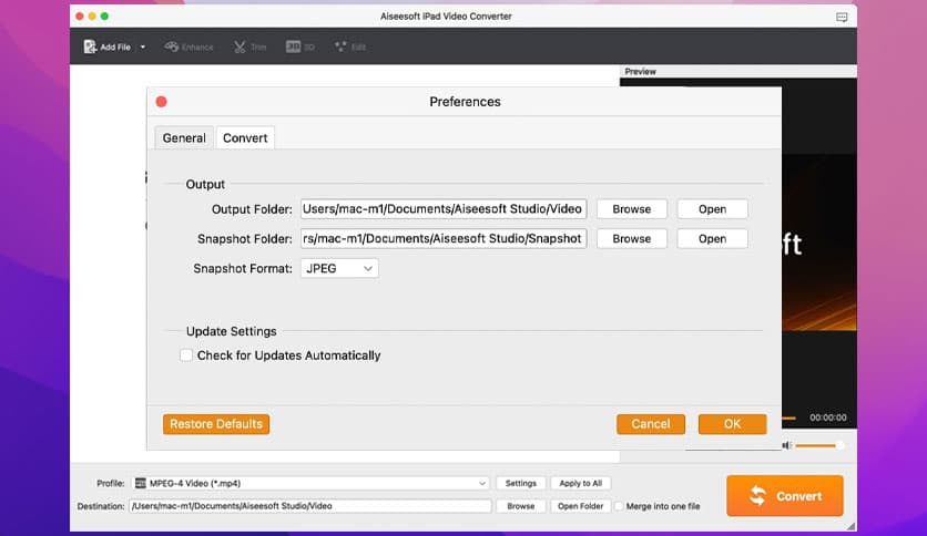 Aiseesoft iPad Video Converter 8.1.26