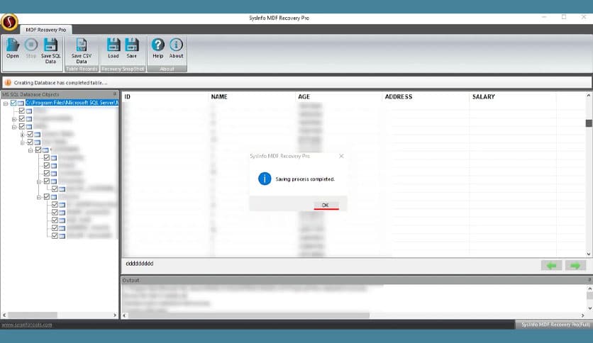 SysInfoTools MDF Database Viewer Pro 23.0