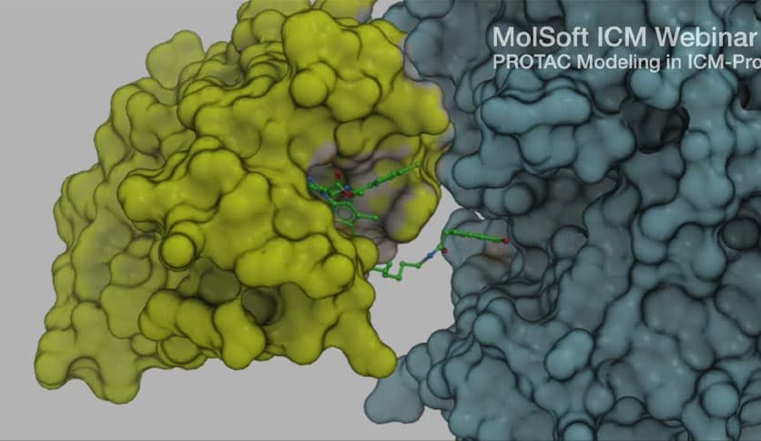 Molsoft ICM-Pro 3.9-4