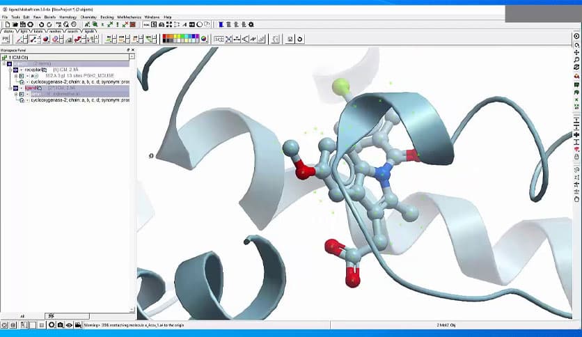 Molsoft ICM-Pro 3.9-4
