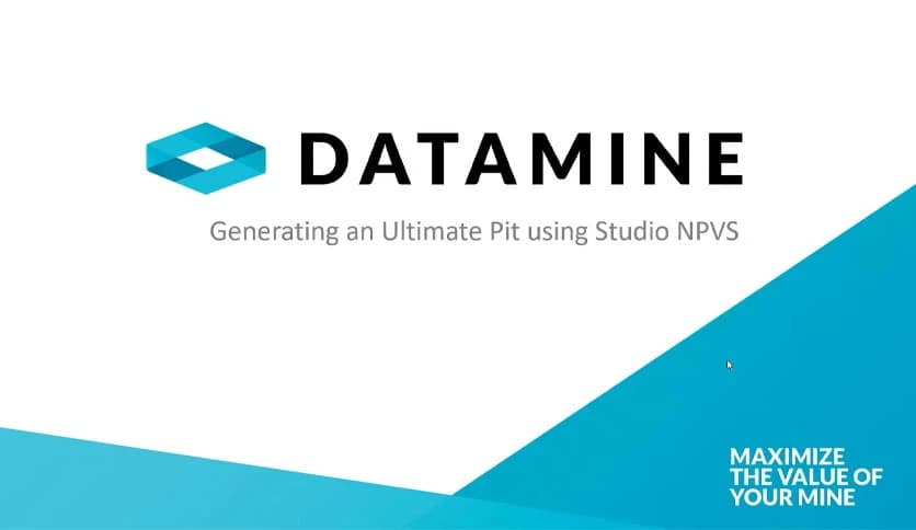 Datamine Studio NPVS v1.4.26.0