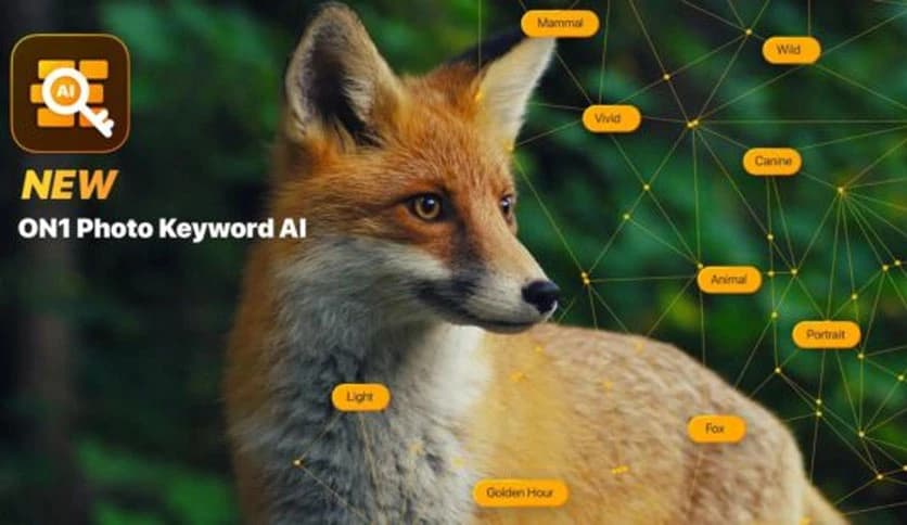 ON1 Photo Keyword AI 2023.5 v17.5.1.14079