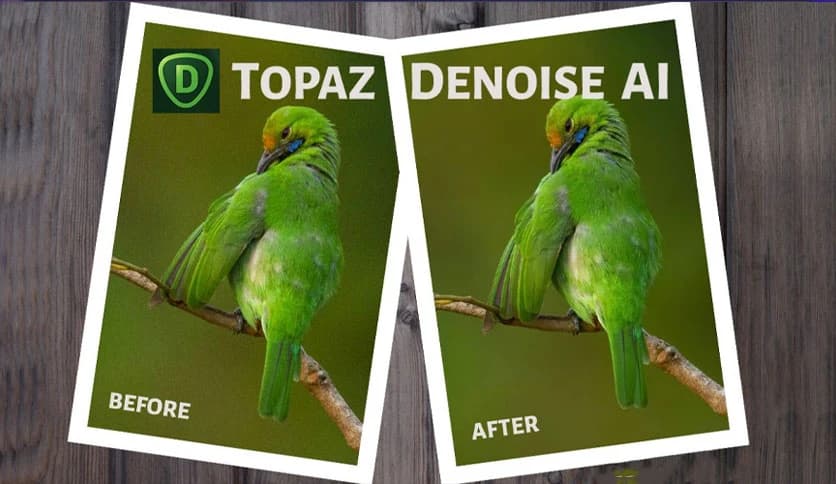 Topaz DeNoise AI
