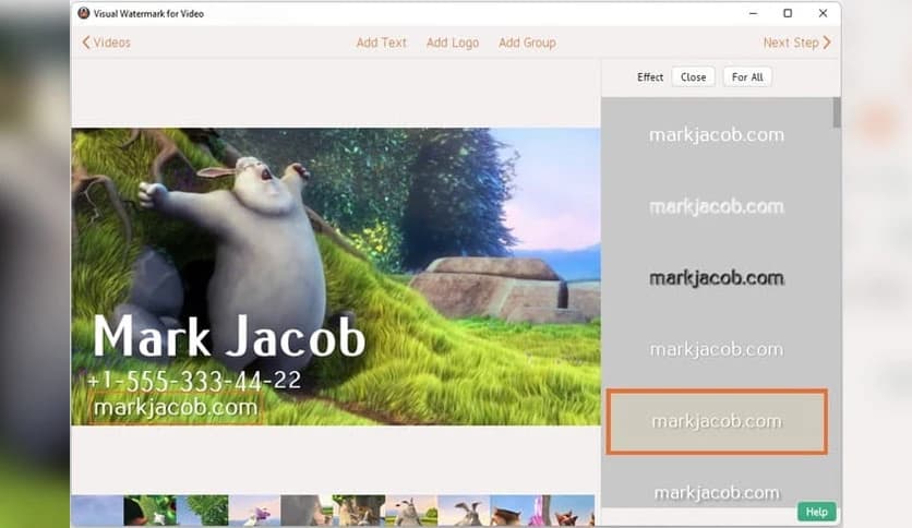 Visual Watermark For Video