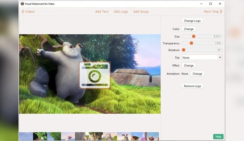 Visual Watermark For Video