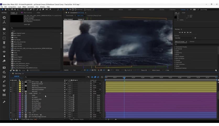AEScripts Workflower 2.0.4 for After Effects
