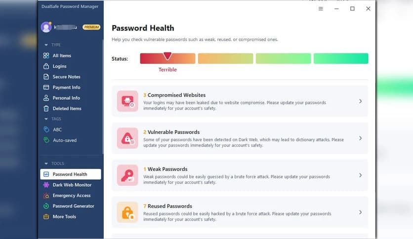 DualSafe Password Manager