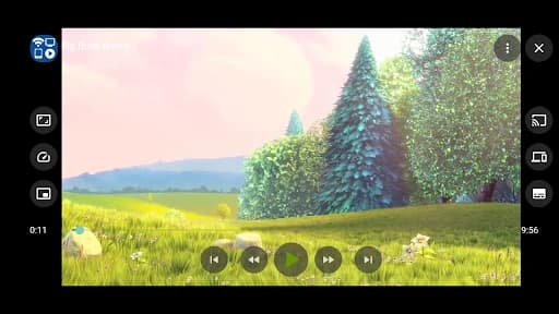 Cast to TV+ Chromecast Roku TV 12.289