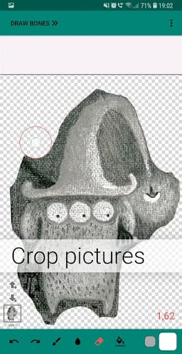 Flamingo Animator 2.1