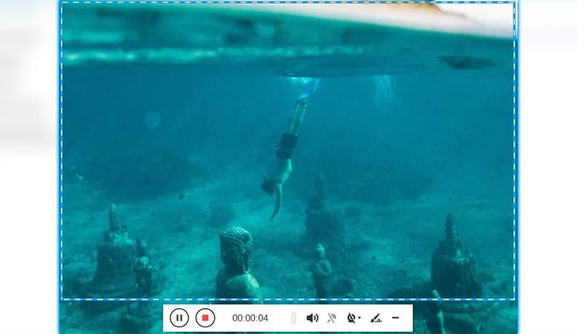 Screen Grabber Pro 1.4.1