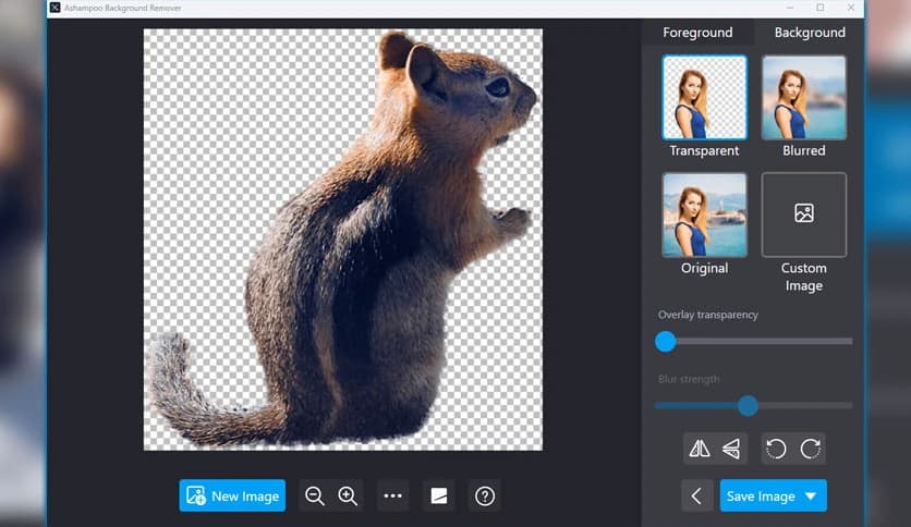 Ashampoo Background Remover 2.0.3