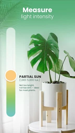 Blossom – Plant Identifier 1.56.4