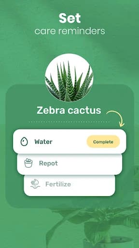 Blossom – Plant Identifier 1.56.4