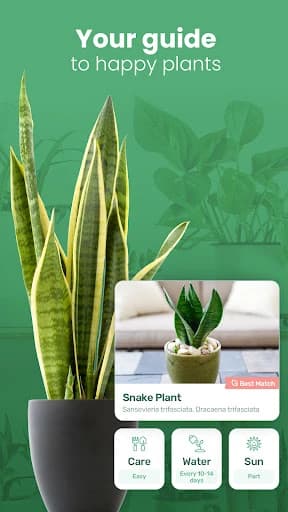 Blossom – Plant Identifier 1.56.4