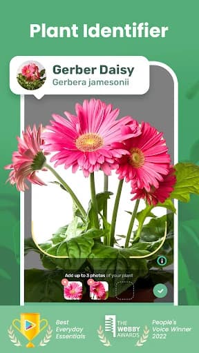 Blossom – Plant Identifier 1.56.4