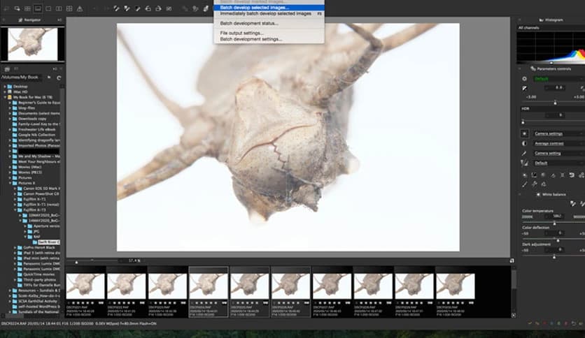 SILKYPIX RAW Converter 1.0.13.0