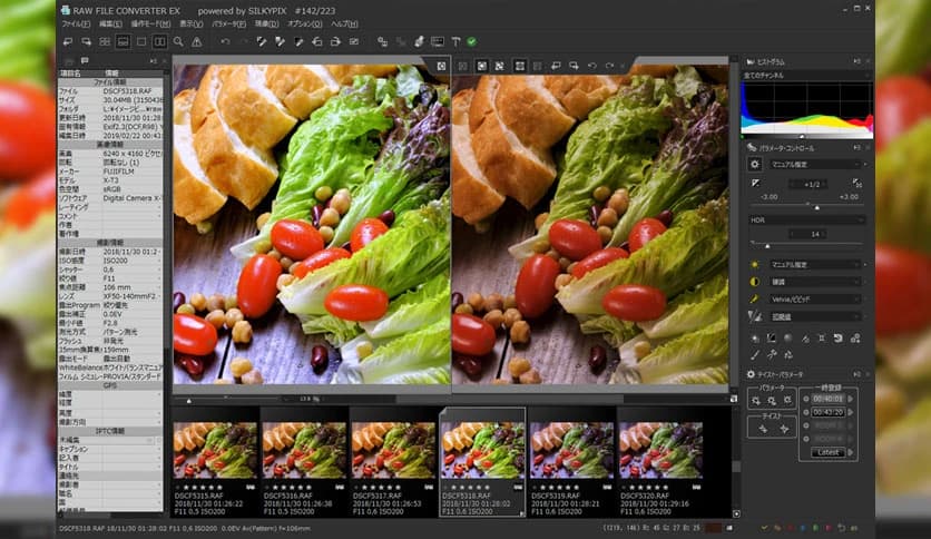 SILKYPIX RAW Converter 1.0.13.0