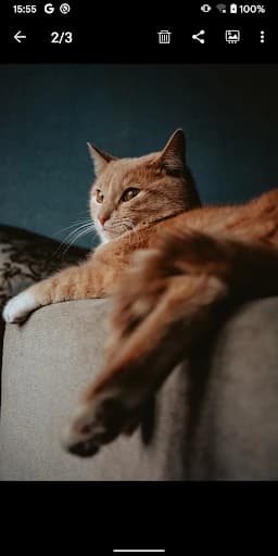 Gallery – photo gallery, album 5.11.1