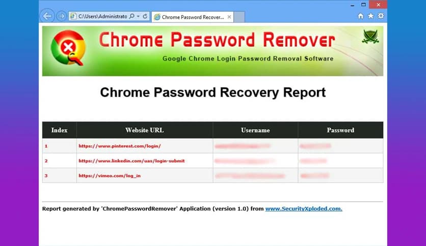Chrome Password Remover