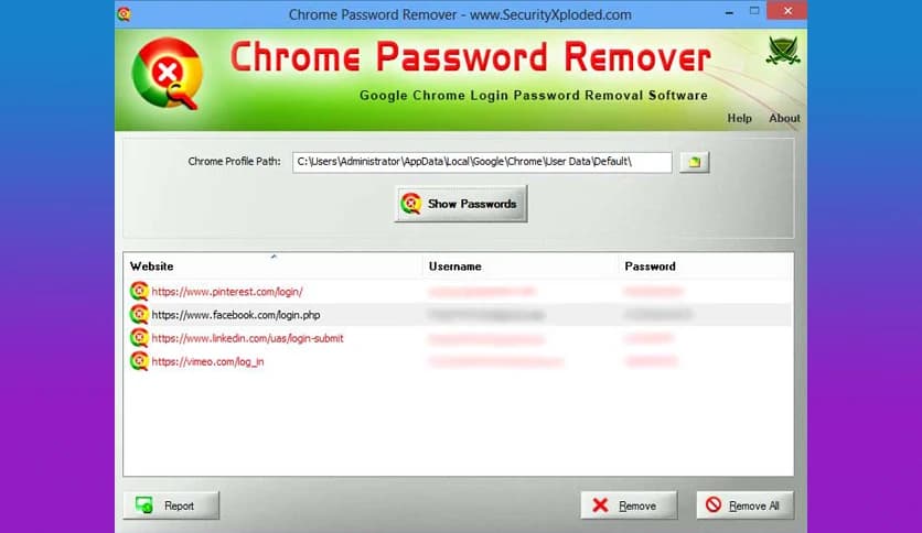Chrome Password Remover