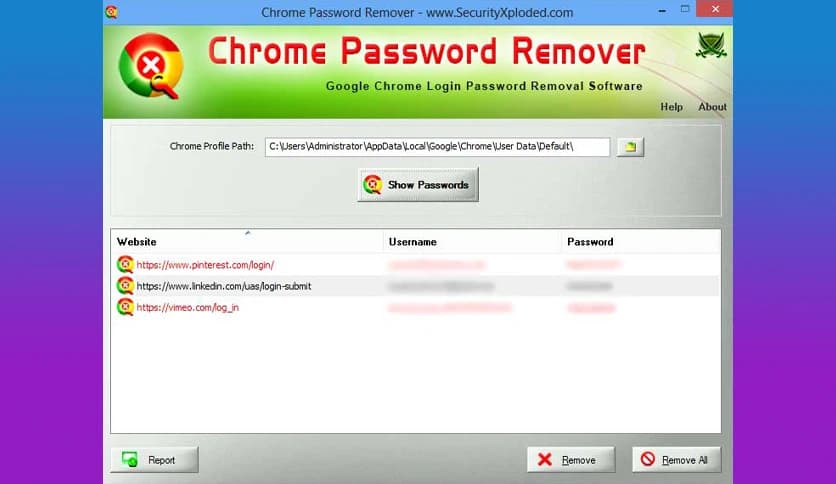Chrome Password Remover