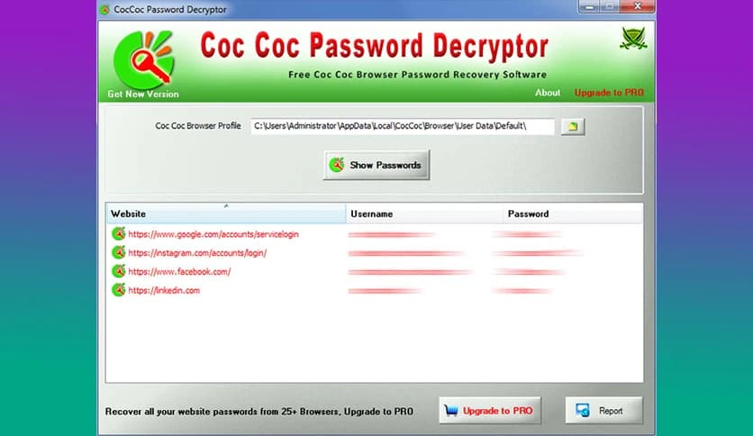 Coc Coc Password Decryptor