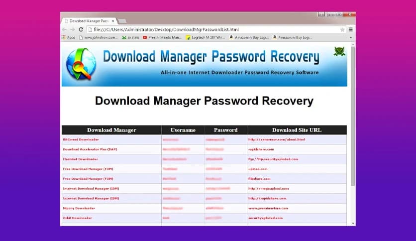 Download Manager Password Recovery