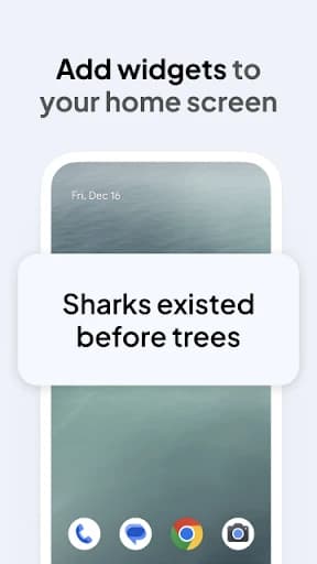 Daily Random Facts 4.86.3